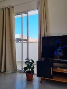 アラシャーにあるAconchego em Araxá - Perto de Tudoのリビングルーム(薄型テレビ、植物付)