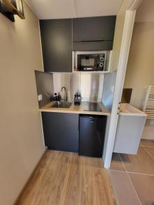 une petite cuisine avec un évier et un micro-ondes dans l'établissement Chalet, hot tub and pool, quiet and with a view Sawadee lodge spa, à Saint-Affrique