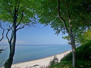 Příroda nedaleko prázdninového domu