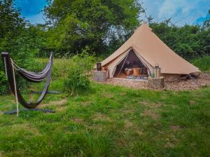 a teepee tent with a hammock in a field at Langeland Glamping in Rudkøbing +24 photos