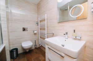 Phòng tắm tại Free wellness rodinný apartman Daniela Anenské údolí