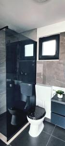 a bathroom with a toilet and a glass shower at Villa Dalmatia with pool in Slivnica
