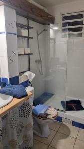 a bathroom with a toilet and a glass shower at Mi Plézi Appartement au Diamant. in Le Diamant
