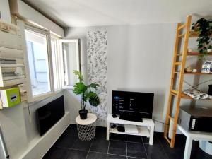 a living room with a television and a potted plant at Le Rayane in Vénissieux