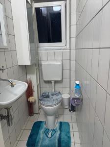 a small bathroom with a toilet and a sink at Urlaub mit Bergblick - Ferienhaus in Bad Bleiberg in Bad Bleiberg +11 photos