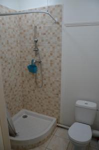 a bathroom with a shower and a toilet at Sweet Mangot in Gros-Morne +21 photos