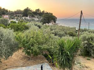 a person walking down a path next to the ocean at Debbie s Beach House in Kokkari +2 photos