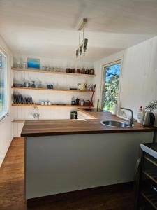 a kitchen with a counter top and a sink at Vasarnieki 24 in Ziemupe