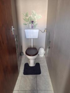 a bathroom with a toilet with a plant on the wall at 3de laan Springbok in Springbok +11 photos