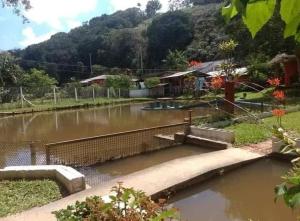 a body of water with a fence and a river at Sítio Isolina Piscina, Campo e Lago in Juquitiba