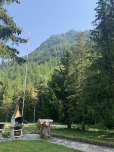 a park with a tree stump and a grill at Relais de Van d'en Haut in Salvan
