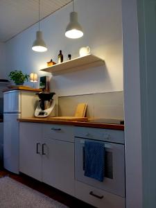 Køkken eller tekøkken på Altbau im Herzen der Stadt