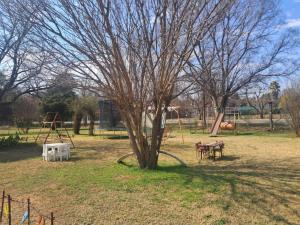 a park with a tree and a swing set at Boemsies in Jacobsdal