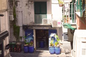 un callejón con macetas delante de un edificio en Appartamento Sirio, en Nápoles