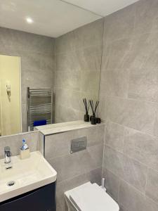a bathroom with a sink and a toilet and a mirror at Cosy apartment near Edinburgh city centre in Edinburgh +2 photos