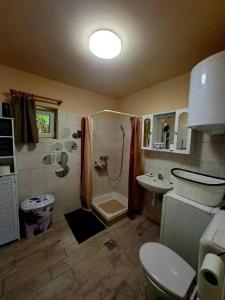 a bathroom with a toilet and a shower and a sink at TarnApartman in Sirok