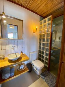 a bathroom with a toilet and a sink and a mirror at Loft 1 - Casa Aratu Guaiú Barra de Mamanguape in Rio Tinto