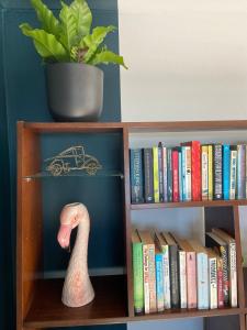 Una estantería llena de libros con un pájaro rosa encima. en Stylish beachside Gem in Fish Hoek, en Fish Hoek 15 fotos más
