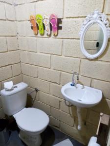 a bathroom with a toilet and a sink and a mirror at Chalé Pingo de Ouro Socorro SP in Socorro +67 photos