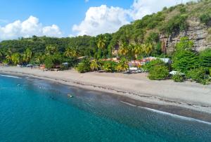 an aerial view of a beach with palm trees at Les bonites carbet pieds dans l eau in Le Carbet