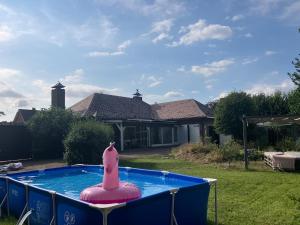 a swimming pool with a pink inflatable shark in a yard at The Oak & Squirrel Villa in Hoogstraten