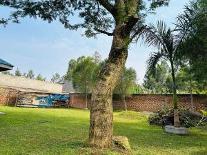 a tree in a yard next to a brick wall at Fancy Homes Bungoma in Bungoma