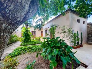 a house with a lot of plants in front of it at Casona Tres Culturas,steps away from the Convent in Izamal