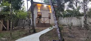 Vườn quanh Loft da Bia