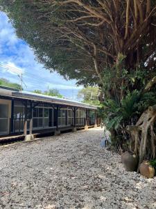 Galería fotográfica de Hostel あざみ庵よろん en Yoron