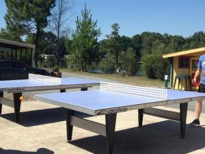 two ping pong tables with a ball on top at Mobil Home 32m² 4 pers, Terrasse à St-Sornin - API-1-52-727 in Saint-Sornin +19 photos