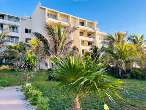 a large building with palm trees in front of it at Solymar Beach Condos in Cancún