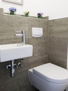 万根沃格Bootshaus Achterstag的浴室里有白色马桶和洗手池