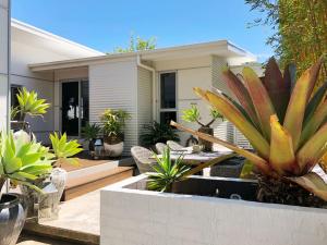 una casa con un jardín con plantas en macetas en The Tasman Secret, en Manyana