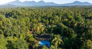 an aerial view of a house in the middle of a forest at Senetan Villas and Spa Resort in Payangan