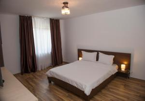 Un dormitorio con una cama grande y una ventana en Villa Tasaul, en Năvodari