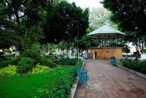 Jardí fora de Hotel MS