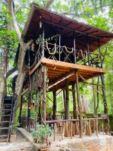 Κήπος έξω από το Green Park and Eco Tree House