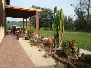 A patio or other outdoor area at La Sosta di Braccio