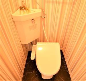 a bathroom with a white toilet and a sink at E-Horizon North 2 Building / Vacation STAY 4752 in Sapporo