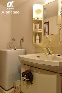 ein Badezimmer mit Waschbecken, Toilette und Spiegel in der Unterkunft Scarl Matsunawa / Vacation STAY 49770 in Takamatsu