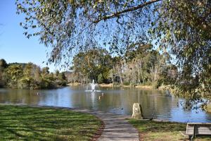 a park with a pond with a fountain and a bench at Trailblazer Studios in Waihi