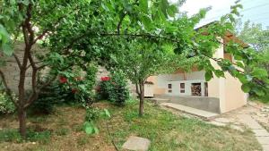 a house with trees in front of a building at Dacha in Yusufkhona +6 photos