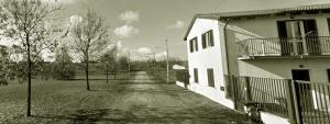 The building in which a panziókat is located