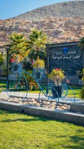 Ảnh trong thư viện ảnh của جوهرة الرستاق السياحية ở Far‘