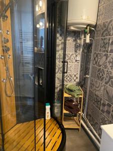 a shower with a glass door in a bathroom at Villa Jean Pierre in Pougues-les-Eaux