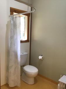 a bathroom with a toilet with a shower curtain at Lacey's Lookout in Waitomo Caves