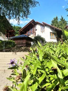 a house in the background with a plant at Siebert Apartment in Titisee-Neustadt