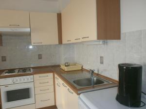 Kuchyň nebo kuchyňský kout v ubytování Apartments Gorenjka