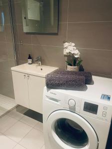 a washing machine in a bathroom with a sink at Sunny, patio & roof terrace Fornebu in Fornebu
