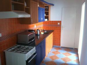 Kuhinja oz. manjša kuhinja v nastanitvi Apartment Elli